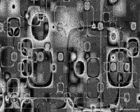 Apertures.jpg