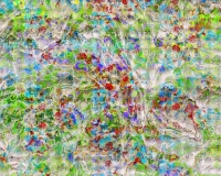 Silt on Silk.jpg