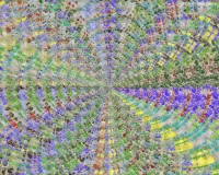 Smooth Roughness - Radial 2.jpg